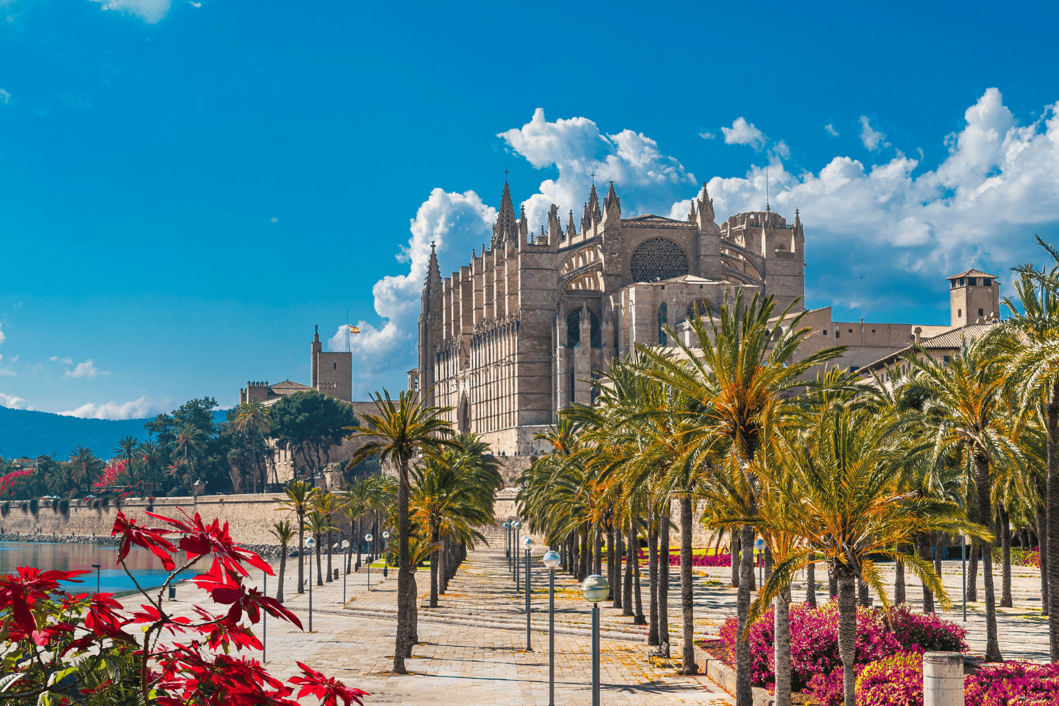Foto de mallorca donde palma finance es un broker hipotecario